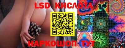 MDMA Гатчина