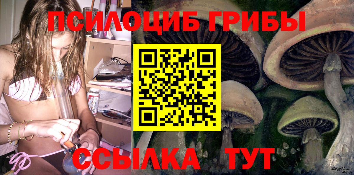 Псилоцибиновые грибы Cubensis Железноводск