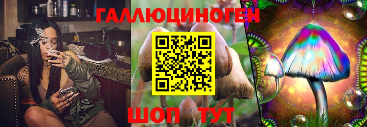 Псилоцибиновые грибы мухоморы  Вход с VPN  Железноводск  Галлюциногенные грибы MAGIC MUSHROOMS 